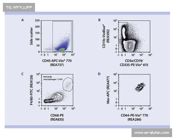 北非球队技术流与西非球队身体流打法对比分析 北非球队技术流与西非球队身体流打法对比分析